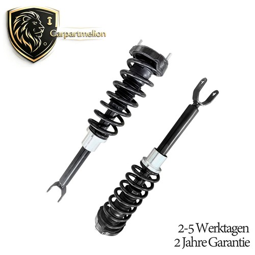 Stoßdämpfer federbein - 2x,